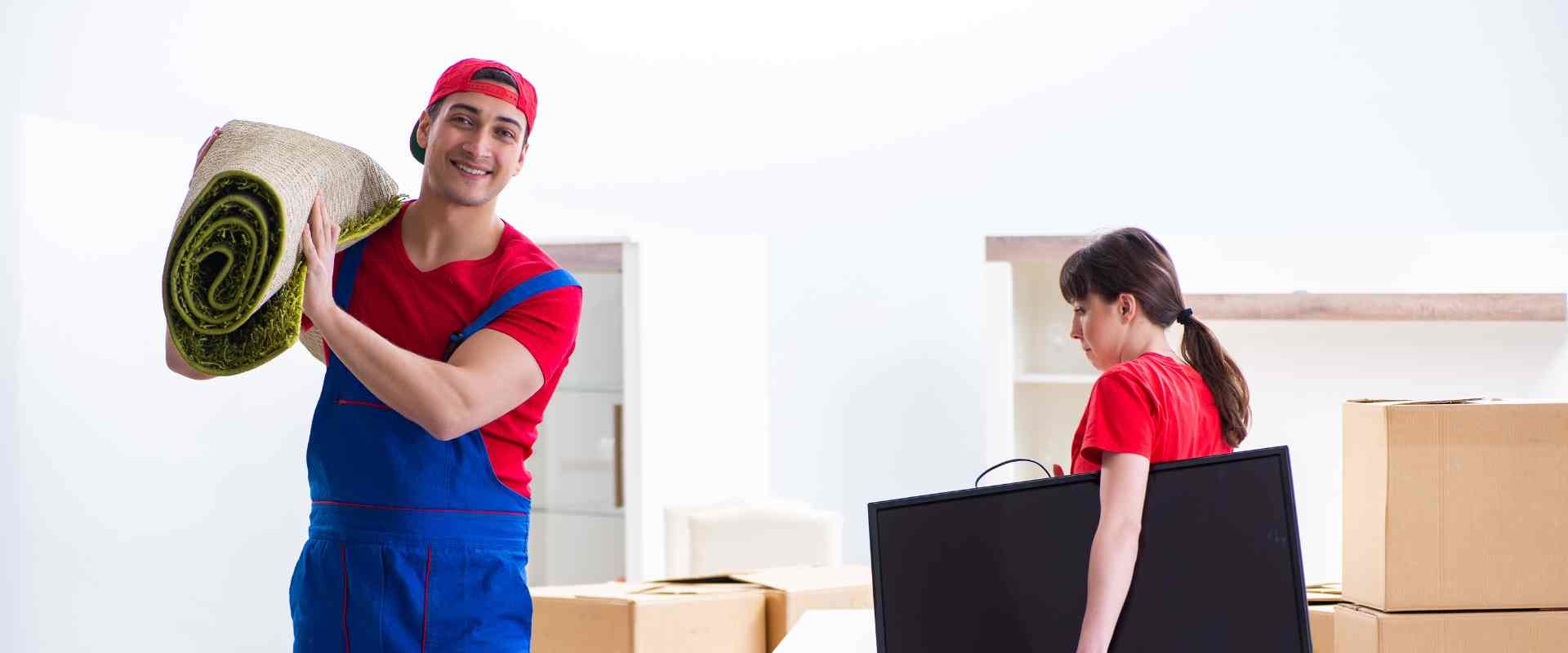 What are the advantages of using a professional mover in dublin?
